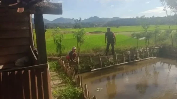 Babinsa Akabiluru Bersama Warga Beri Pakan Ikan