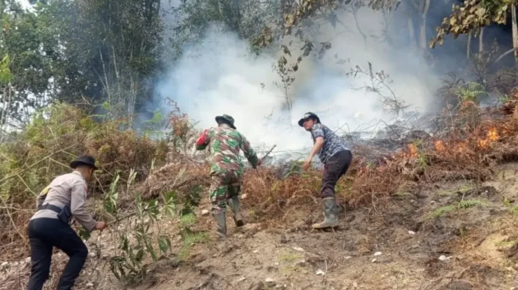 Lahan Terbakar di Bukit Sikumpa Solok Piobang