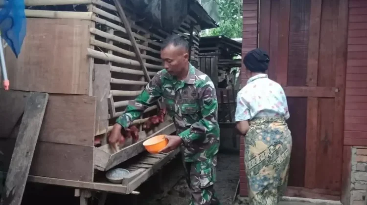 Babinsa Payakumbuh Dorong Ekonomi Warga Lewat Ternak