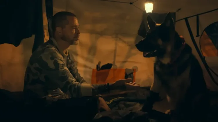 Sinopsis Film: Aksi Brad Pitt Bertahan Hidup Bersama Anjing Tempur di Alaska