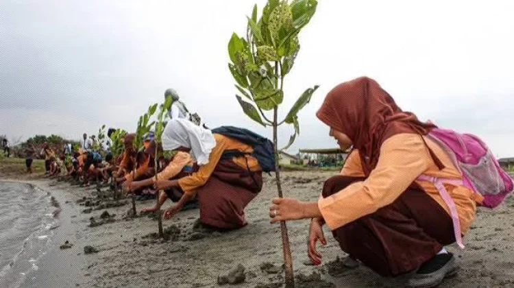 Mengapa Pariwisata Ramah Lingkungan Semakin Penting?