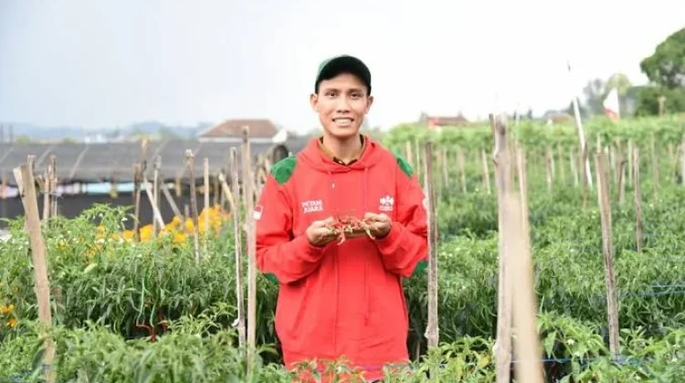 Modernisasi Pertanian Kabupaten Tanah Datar dan Regenerasi Petani