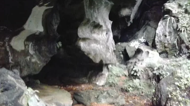 Goa Kelelawar Padayo, Geosite Purba di Kota Padang