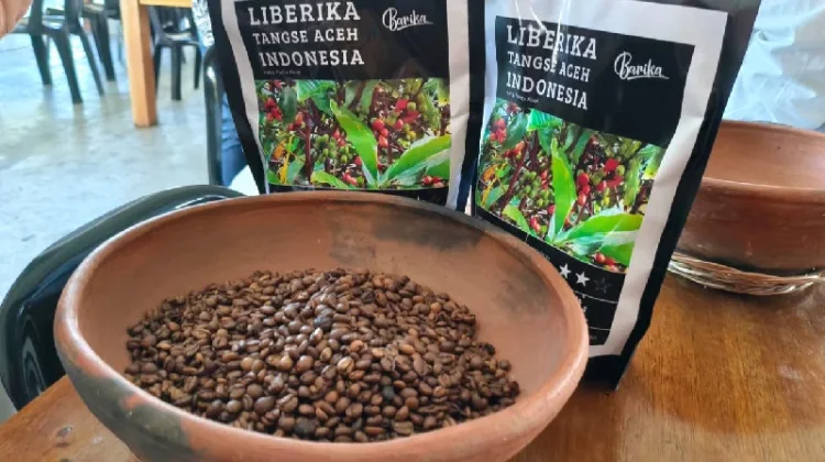 Cita rasa unik sebuah kopi