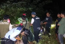 Patroli Intensif Redam Interaksi Negatif Beruang Madu