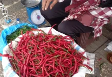 jelang Ramadhan harga cabe Naik Turun