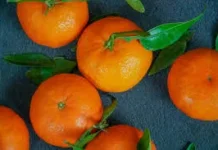 Jeruk Mandarin, Simbol Keberuntungan dalam Tradisi Imlek