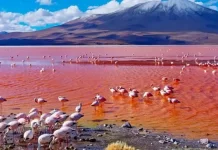 Danau natron