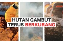 Menjaga Kelestarian Lahan Gambut Tropis Terbesar Indonesia