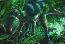 Foskeia Pelendonum Dinosaurus Terkecil di Eropa Ditemukan Peneliti