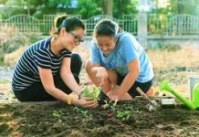 Tips Berkebun di Lahan Sempit Agar Tetap Produktif