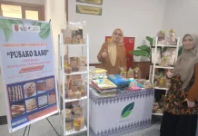 Bangkitkan UMKM Pascabencana, Pemkab Agam Luncurkan Sejumlah Terobosan