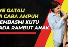 Cara Menghilagkan Kutu pada Rambut Anak