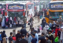 Pulang Basamo, Tradisi Perantau Minangkabau