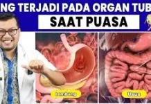 Kondisi Tubuh Manusia saat Menjalankan Ibadah Puasa