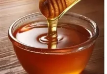 Ragam Manfaat Madu Asli Bagi Kesehatan Tubuh