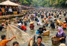 Tradisi Bonkar Ikan Larangan di Pasaman, Kearifan Lokal yang Sarat Makna