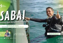 Monitoring Rutin Jadi Kunci Keberhasilan Transplantasi Terumbu Karang