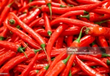 Makanan dan Minuman Penyebab Dehidrasi