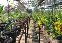 Eco-Living, "Tren Ramah Lingkungan yang Lebih dari Sekadar Gaya Hidup"