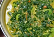 Gulai patai campua pucuak ubi patai  , teri yang kaya rempah
