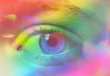Mengenal Warna dan Emosi dalam Seni