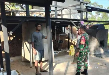 Babinsa Koramil 07/Kapur IX Laksanakan Komsos Bersama Warga Sangat Sukses Sekali