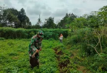 Babinsa Koramil 02/Pangkalan Kembangkan Prajurit Produktif Sangat Sukses Sekali