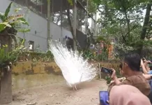 Pemko Bukittinggi Catat Pendapatan Sektor Wisata Senilai Rp3,5 miliar
