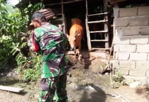 Serka Iriadi Koramil 02/Pangkalan Wujudkan Program Prajurit Produktif