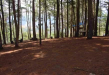 Puncak Koto Panjang Tawarkan Panorama Alam Wisata Keluarga