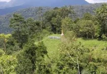 Benteng Bukit Tajadi Pasaman Saksi Perjuangan Tuanku Imam Bonjol