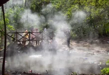 Rimbo Panti Pasaman Tawarkan Wisata Alam Satwa Langka