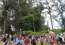Pesona Alam dan Budaya, Sumatera Barat Tetap Jadi Magnet Wisata Utama di Indonesia