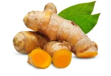 Inilah Manfaat Temulawak untuk Kesehatan