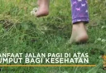 Ini Manfaat Jalan tanpa Alas Kaki di atas Rumput