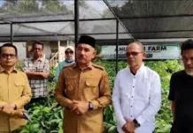Bupati Safni Dukung Pengembangan Bibit Alpukat