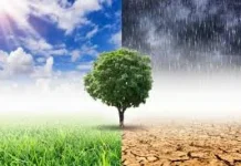 Tips Menjaga Kesehatan saat Cuaca Tak Menentu