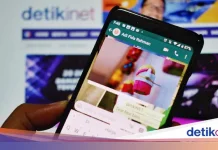 WhatsApp Jadi Sarana Komunikasi Utama PNS di Era Digital