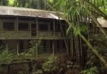 Misteri di tengah Hutan yang Viral di Lampung