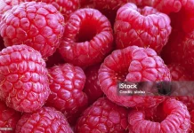 Rahasia Kesehatan Tersembunyi dalam Buah Raspberry