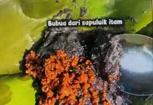 Bubua Ubek Urang Lintau, Kuliner Tradisional Dipercaya Berkhasiat
