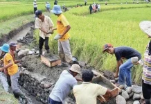 Pembangunan Desa Berkelanjutan Demi Keseimbangan Hidup Nasional