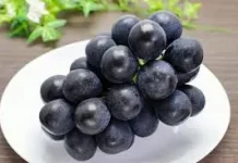Mengenal Nagano Grape, Anggur Jepang Kelas Dunia