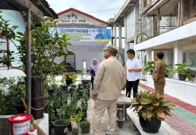 Wako Hendri dan Ketua TP-PKK Tinjau Kesiapan Dasawisma Busur jelang Lomba