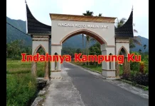 Indahnya di Hutan Raya Koto Malintang yang Memukau