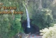 Cagar Alam Lembah Anai Memiliki Keindahan Alam yang Memukau