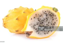 Manfaat Buah Naga Kuning untuk Tubuh