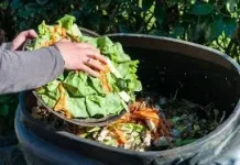 Produksi Biogas dapat Mengurangi Limbah Organik