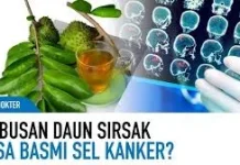 Manfaat Daun Sirsak Bagi Kesehatan